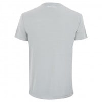 Camiseta Tecnifibre Team Plata